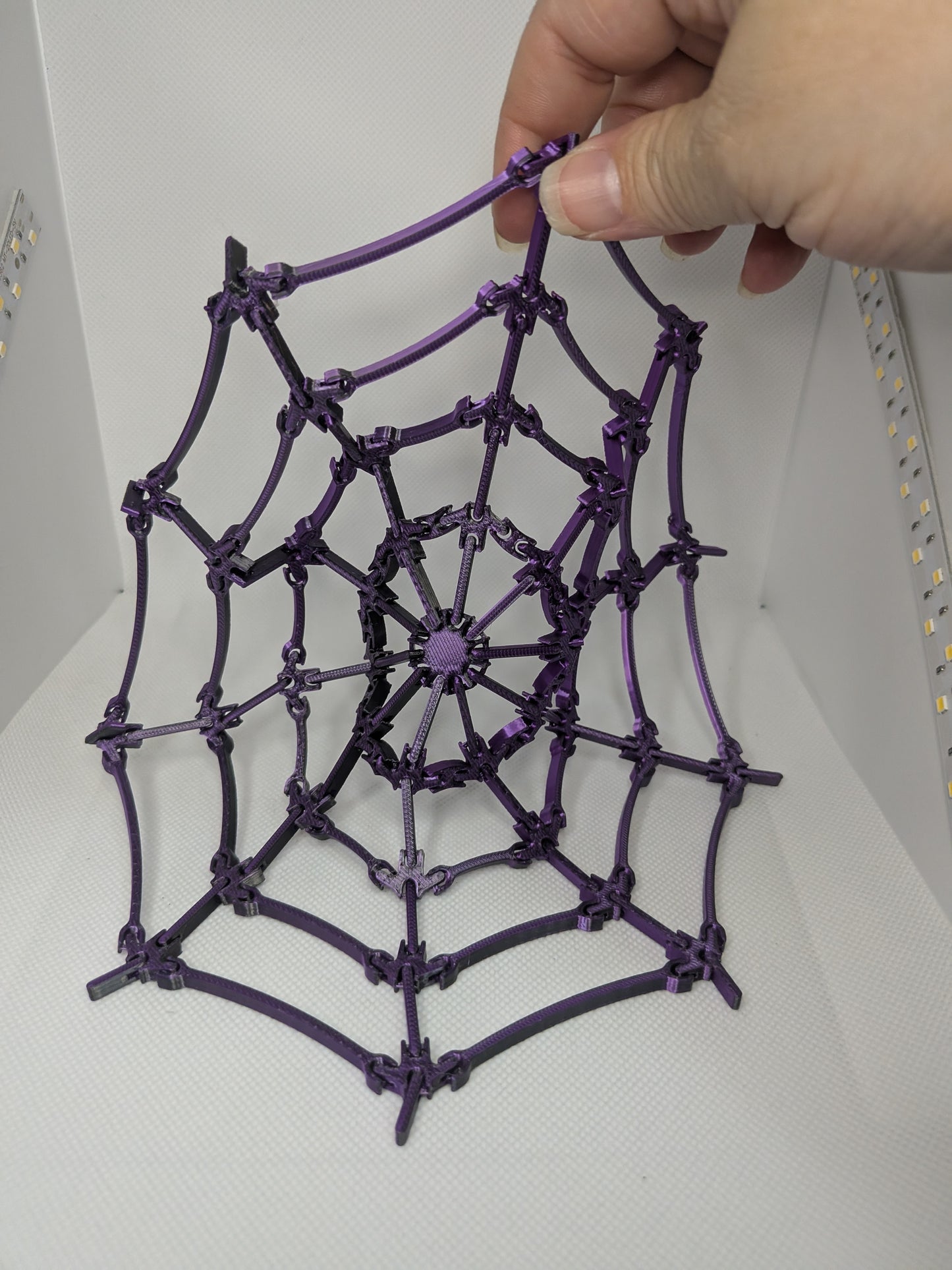 Spiderwebs