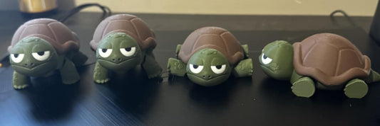 Bored Turtle