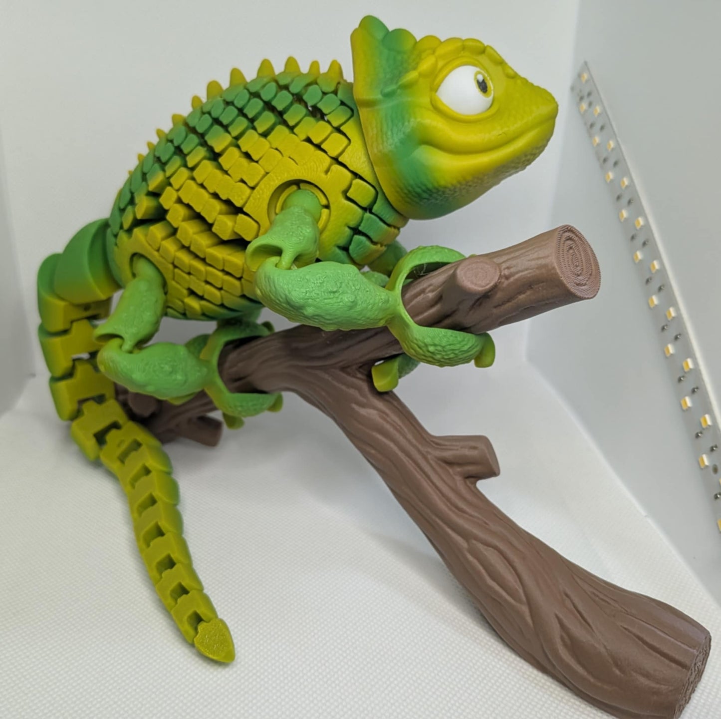 Chameleon on Tree